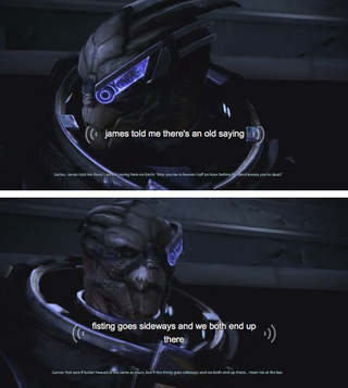 Illustration for article titled Mass Effect's Hilarious, Unintended Subtitles